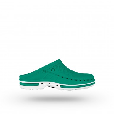 CLOG 06
